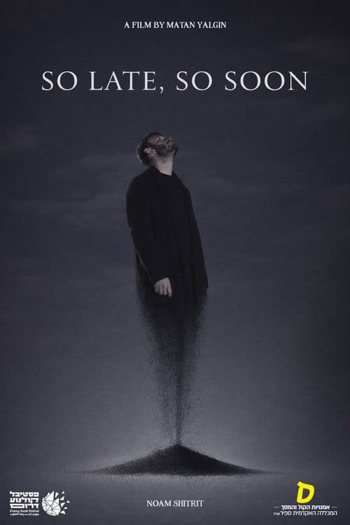 SO LATE, SO SOON poster