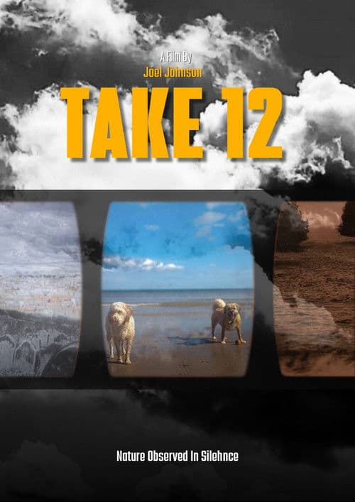 Take 12 poster