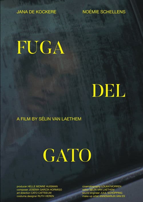 Fuga Del Gato poster