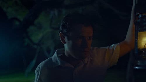 Before The Dawn Fell poster