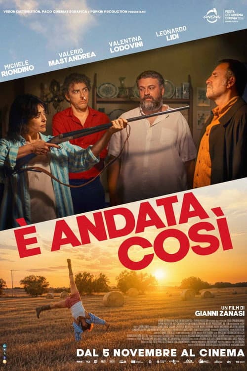 È andata così poster