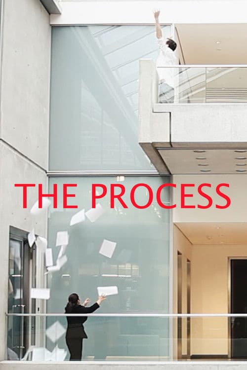 The Process poster