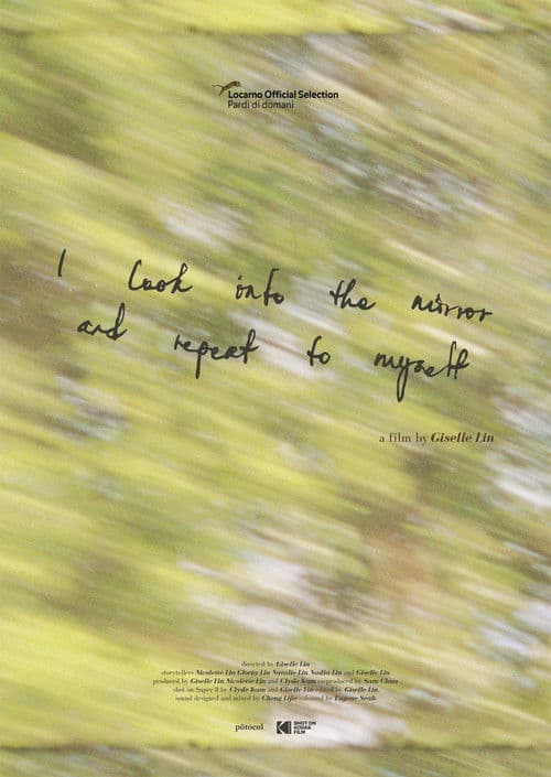 I Look into the Mirror and Repeat to Myself poster