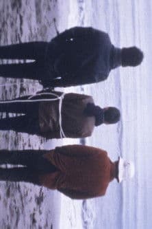 バッド デット poster