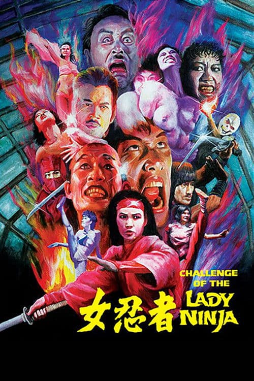 The Challenge of the Lady Ninja poster