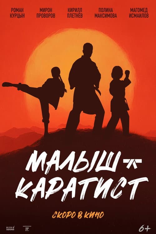 Малыш-каратист poster