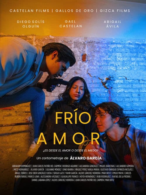 Frío Amor poster