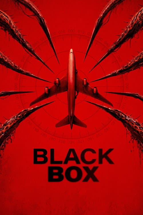 Black Box (Flight 298) poster