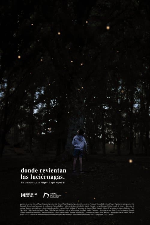 Where the fireflies burst poster