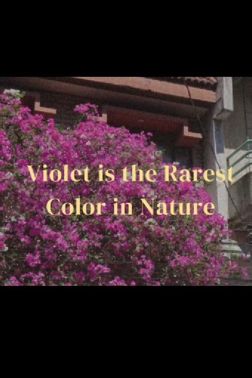 Violet is the rarest color in nature poster