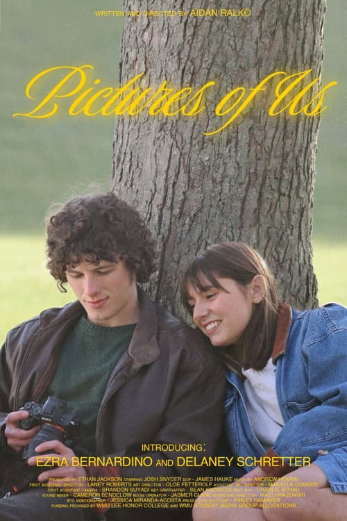 Pictures of Us poster