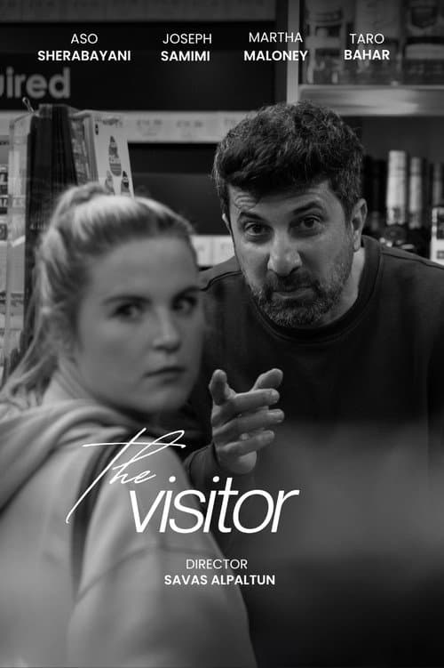 The Visitor poster