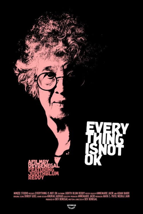 Everything Is Not OK poster