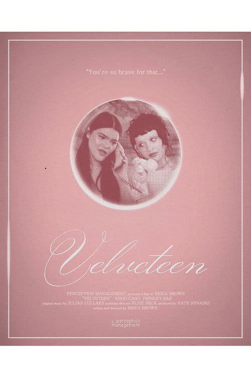 Velveteen poster