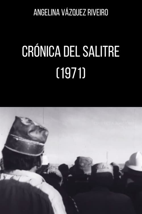 Crónica del salitre poster