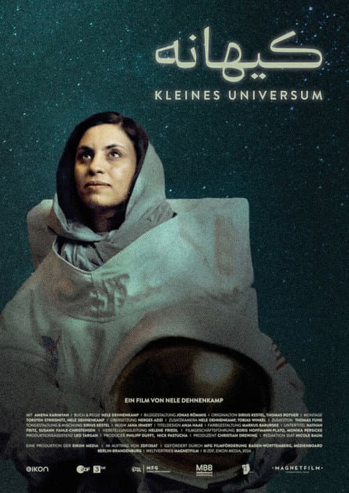 Little Universe poster