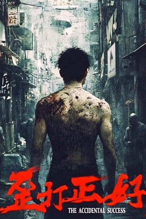 歪打正好 poster