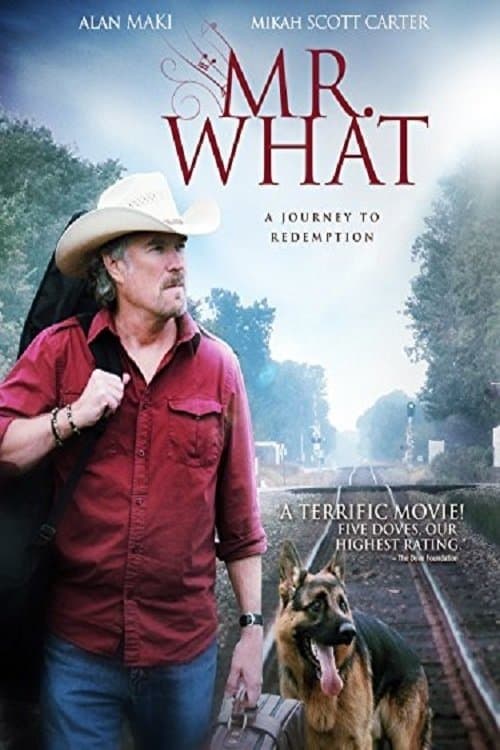 Mr. What poster
