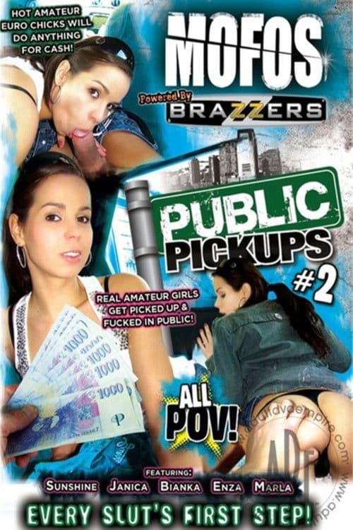Public Pickups 2 poster