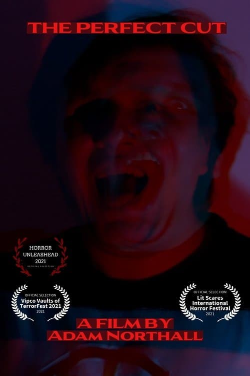 The Perfect Cut poster