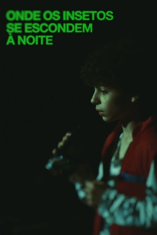 Where Insects Hide at Night poster