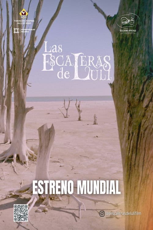 Luli's Stairs poster