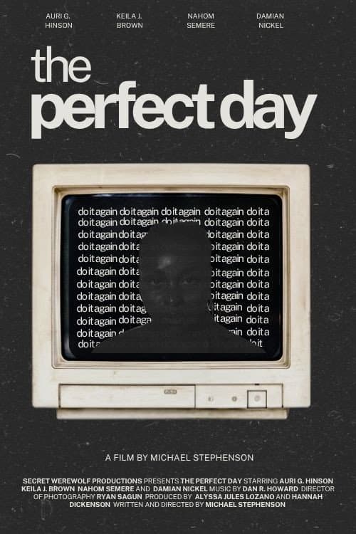The Perfect Day poster