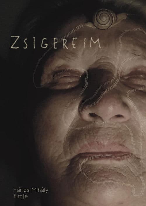 Zsigereim poster