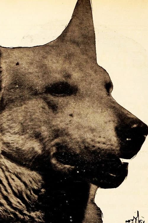 Lightning the German Shepherd profile photo
