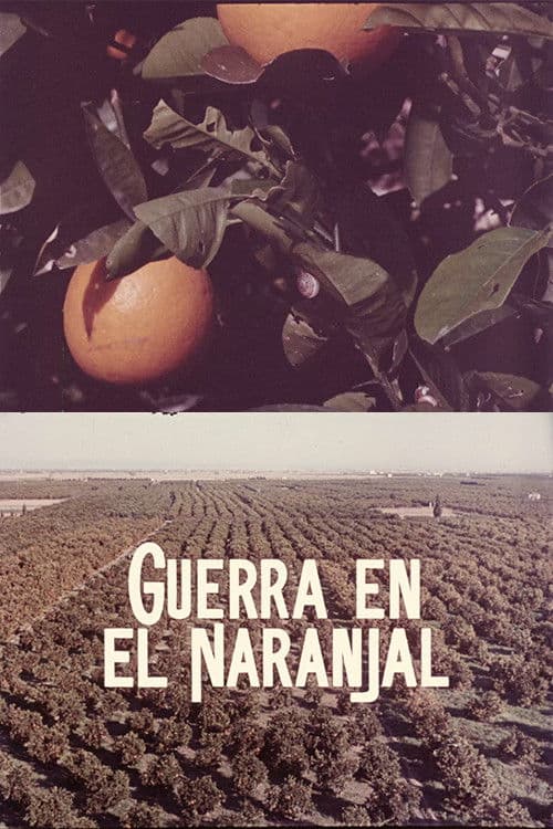Guerra en el naranjal poster