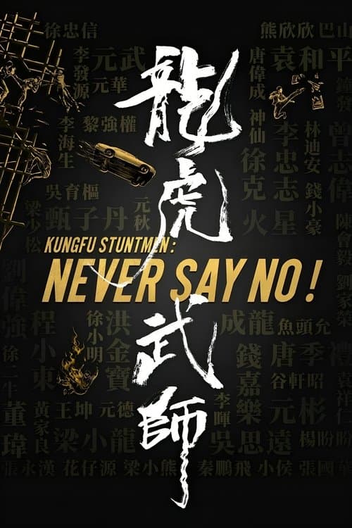 Kung Fu Stuntmen poster