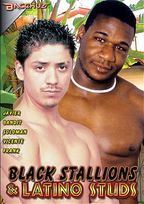 Black Stallions & Latino Studs poster