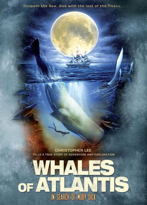 Whales of Atlantis: In Search of Moby Dick poster