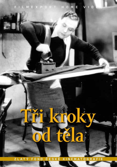 Tři kroky od těla poster
