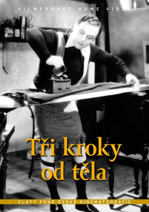 Tři kroky od těla poster