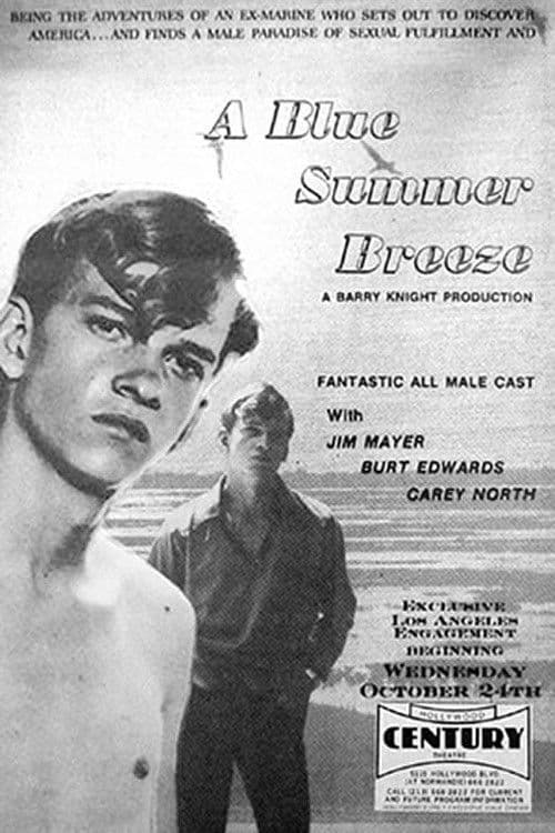 Blue Summer Breeze poster