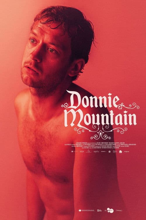Donnie Mountain poster