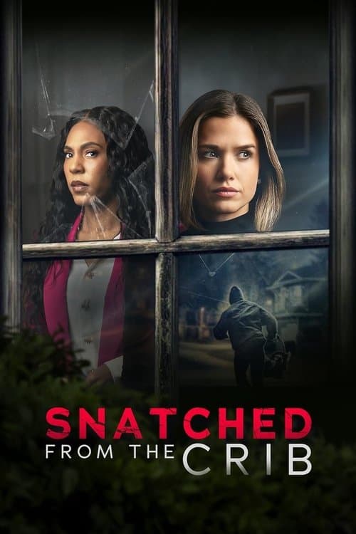 Snatched From The Crib poster