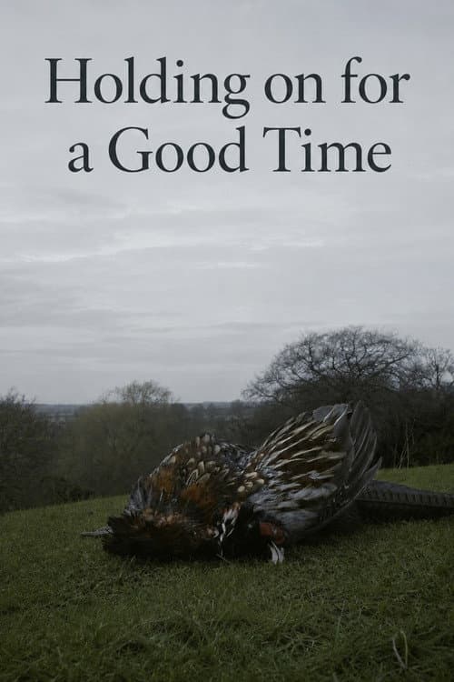 Holding on for a Good Time poster