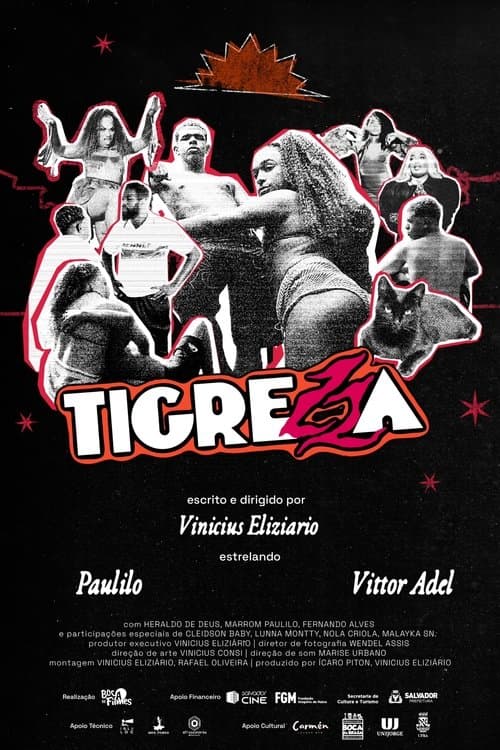Tigrezza poster