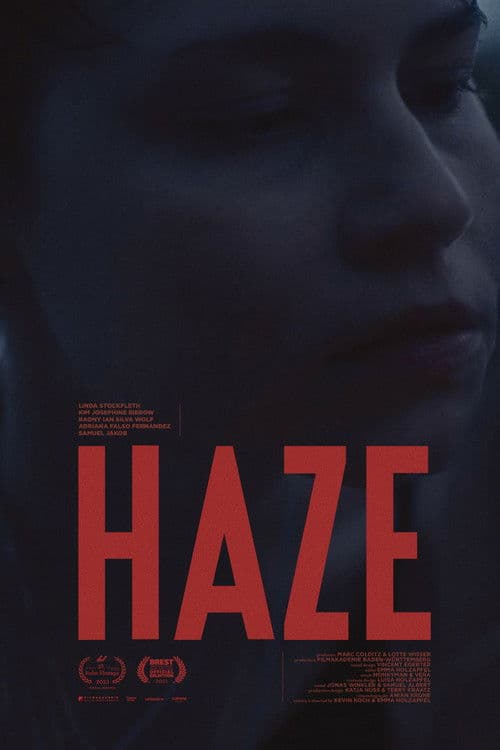 HAZE poster