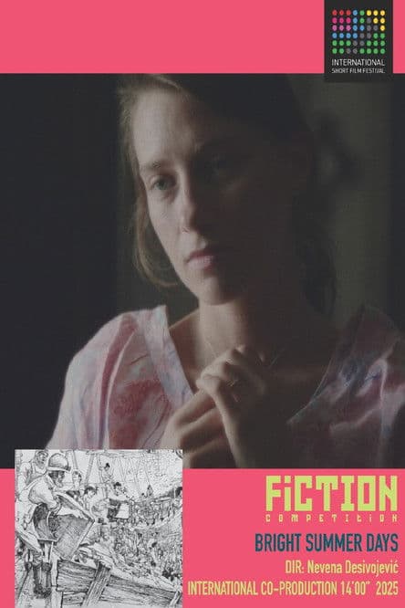 Bright Summer Days poster