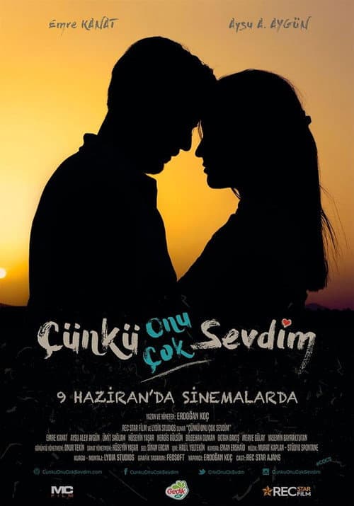 Çünkü Onu Çok Sevdim poster