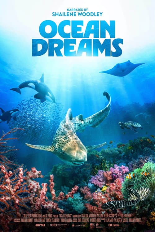 Ocean Dreams poster