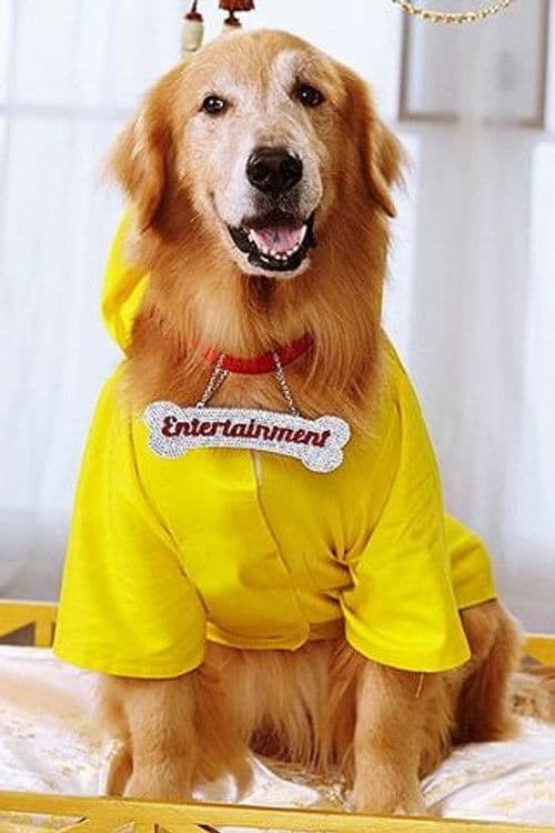 Junior profile photo