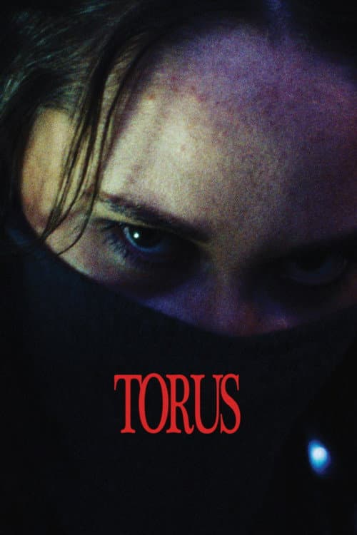 Torus poster