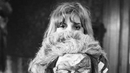 Noc s mačkou poster