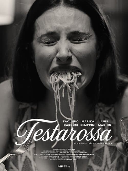 Testarossa poster