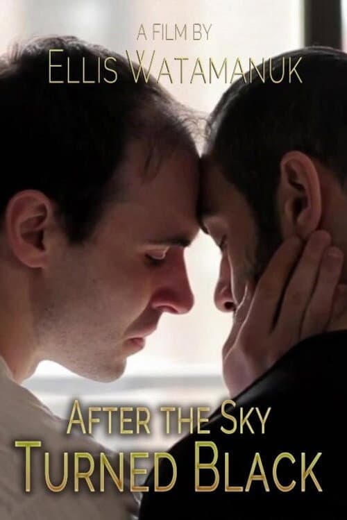 After the Sky Turned Black poster