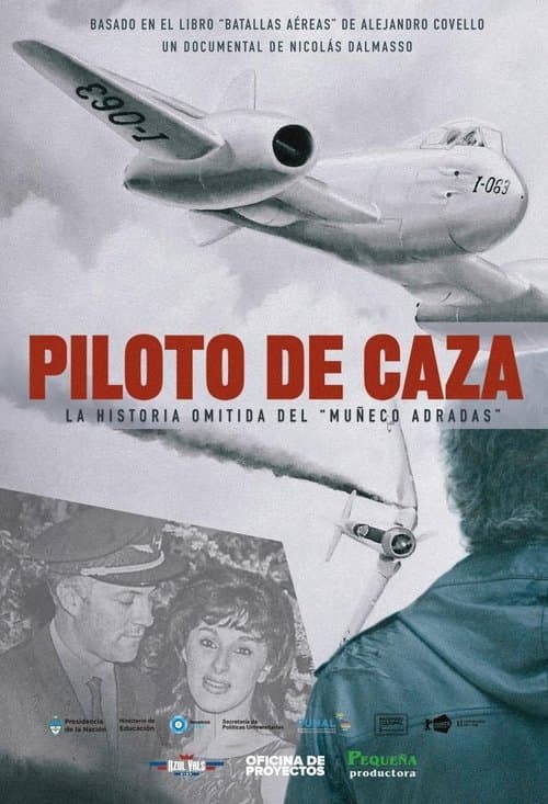Piloto De Caza poster